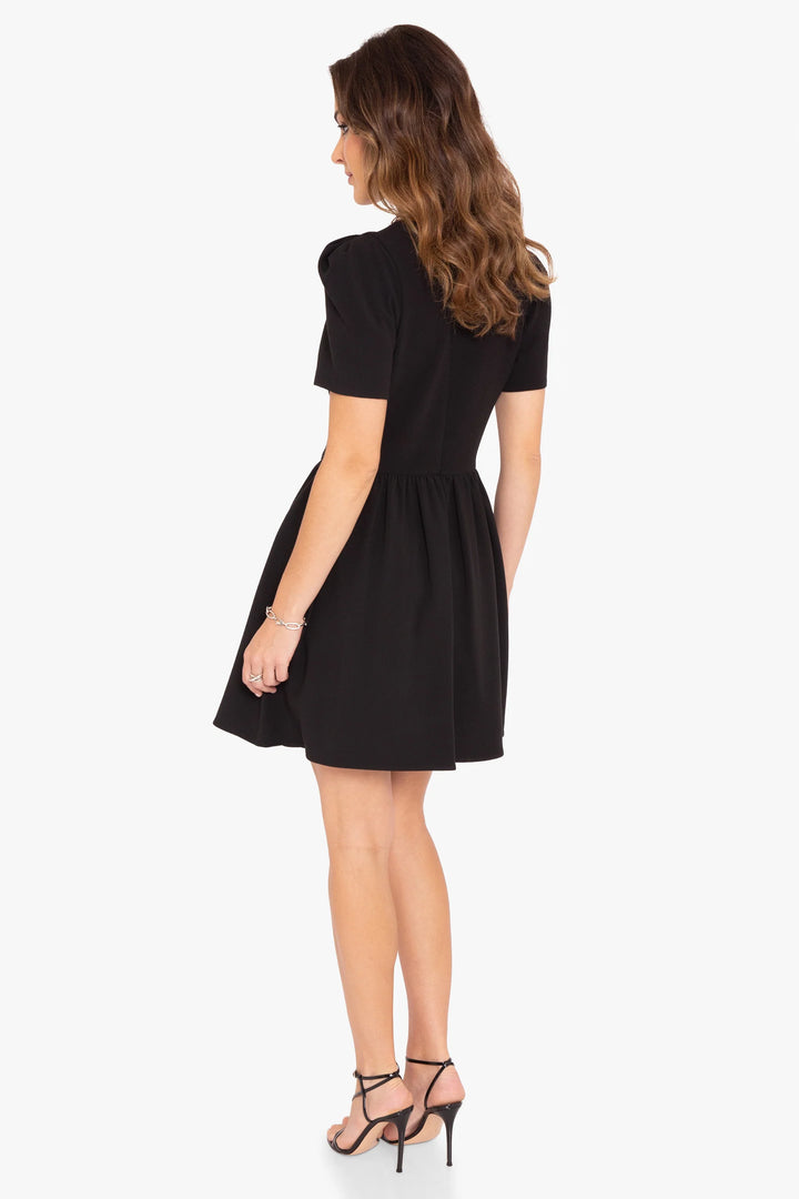 Chadwick Mini Dress