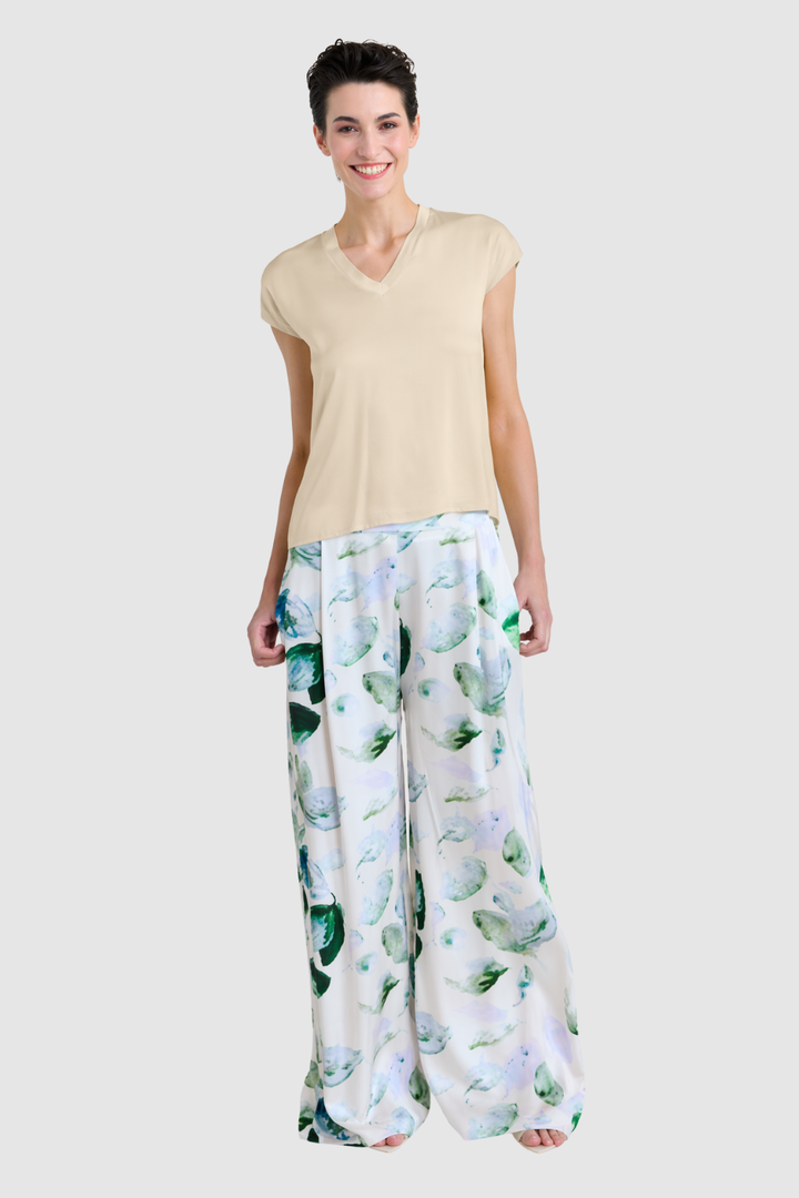 V-Neck Short Sleeves Top