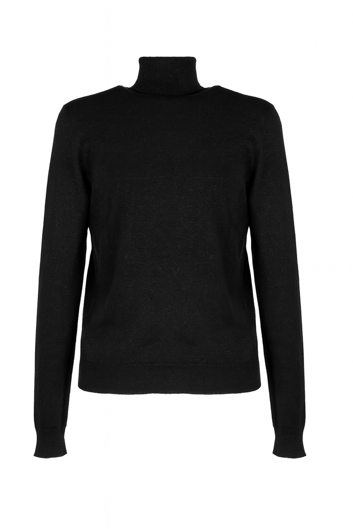 Wool blend Turtleneck Sweater