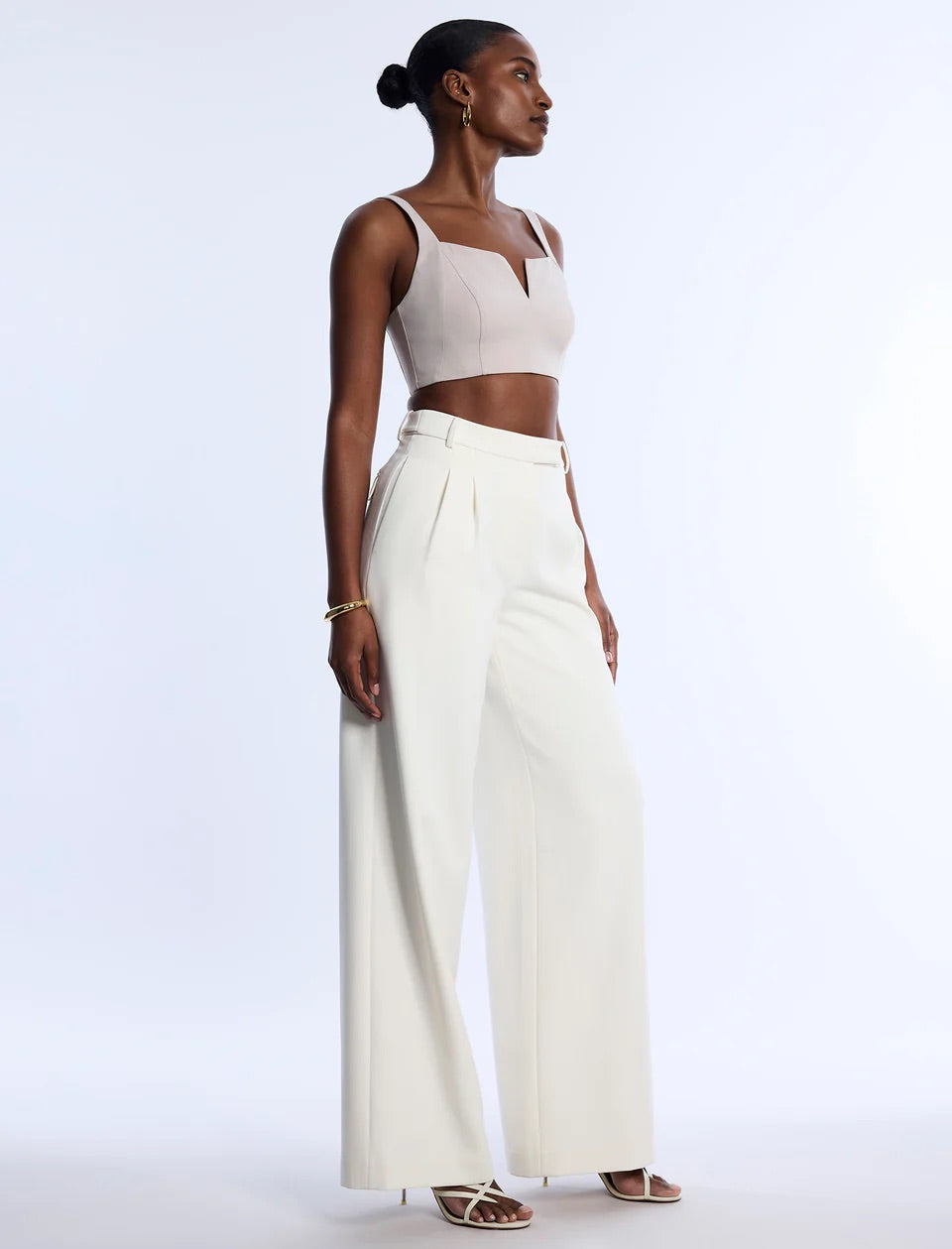 Pleat Front Wide Leg Pant