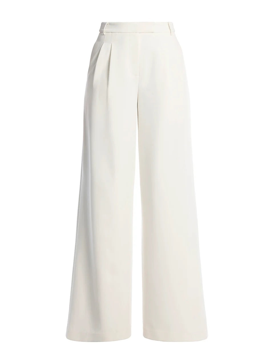 Pleat Front Wide Leg Pant