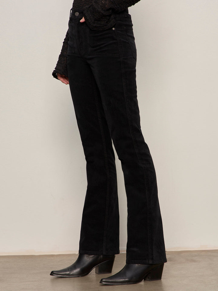 Velveteen Brook Bootcut