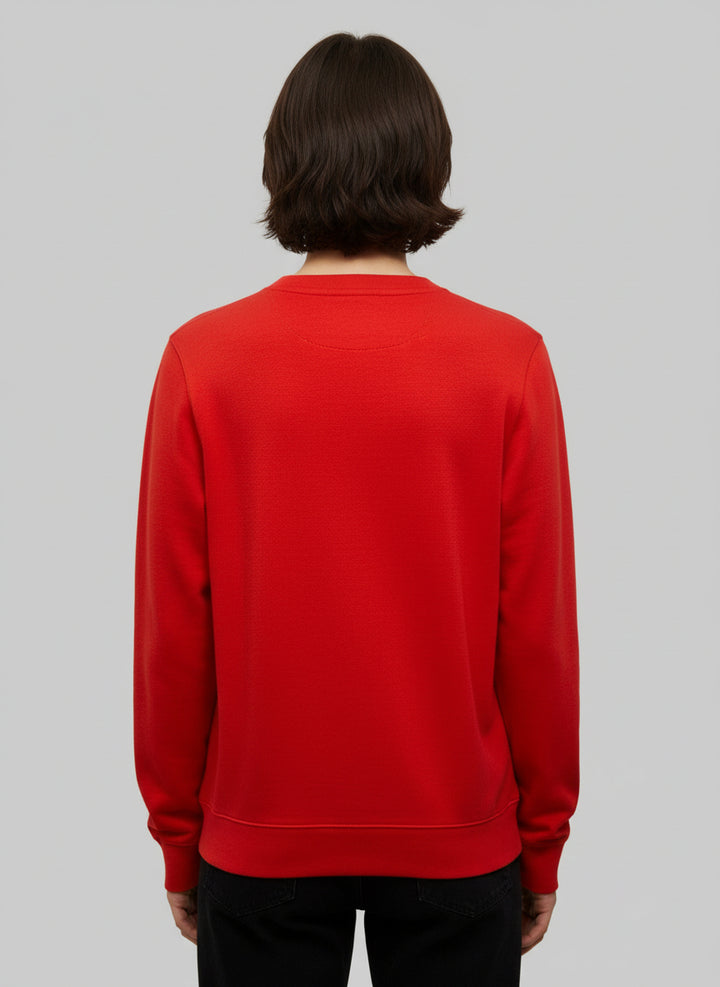 Cotton V Neck Sweater