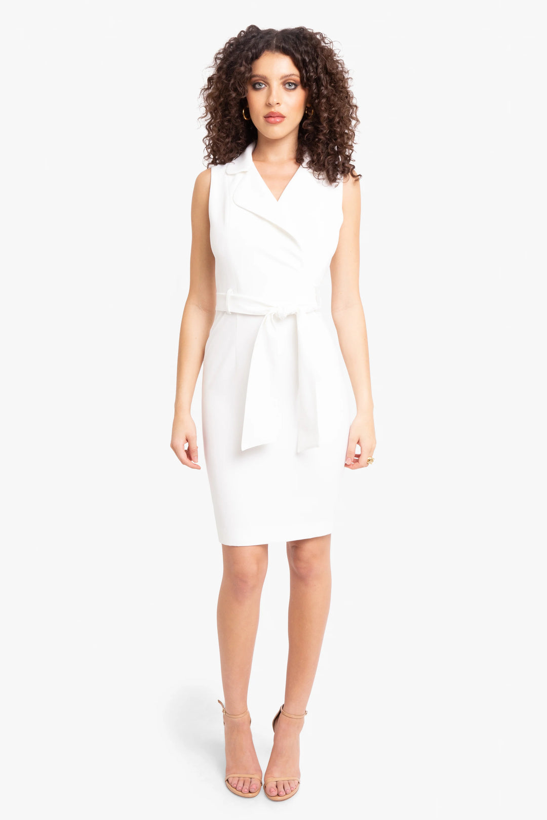 Danica Sheath Dress