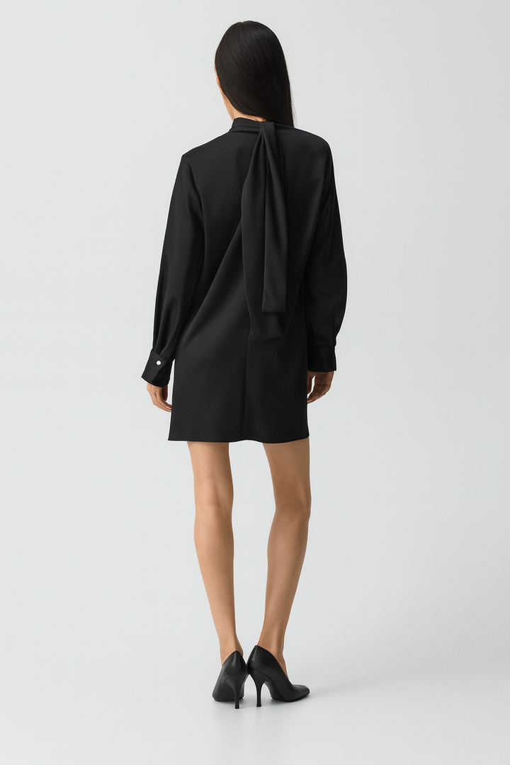 Blouson Sleeved Dress