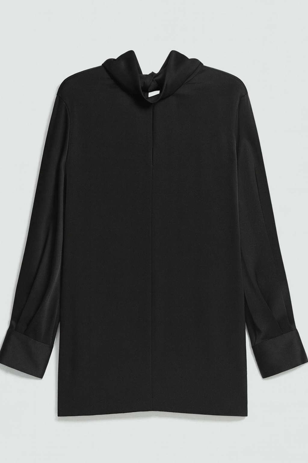 Blouson Sleeved Dress